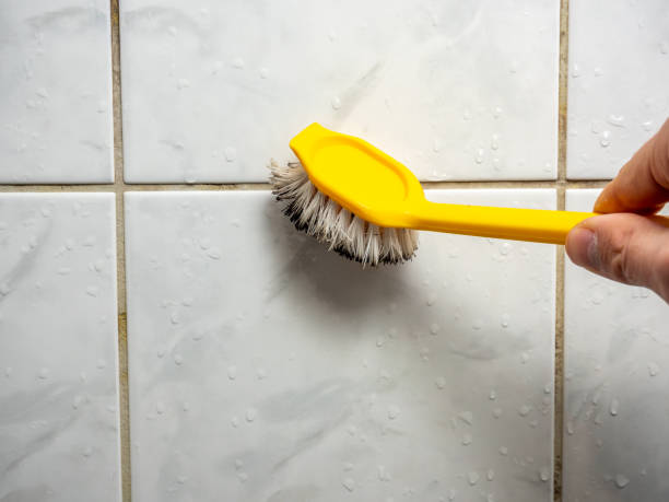 Best Attic Mold Removal  in Collinwood, TN
