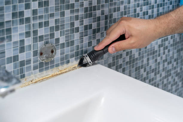 Best Mold Testing  in Collinwood, TN